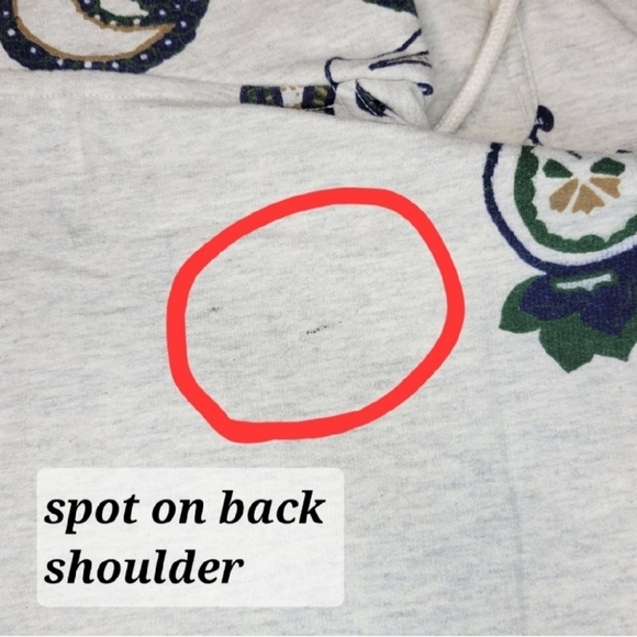 Urban Outfitters: Men's Small Paisley Print Kangaroo Pocket Pullover Hoodie - Picture 9 of 9